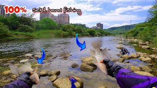 Download lagu BEST HAND FISHING full skill || mudahnya gogoh ikan nila disungai taiwan || fishing traditional mp3