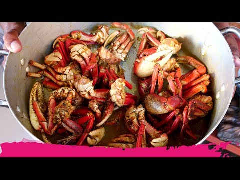 AMAZING Surinamese Seafood + LEATHERBACK TURTLES | Galibi, Suriname