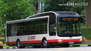 904 Woodlands Short Feeder service