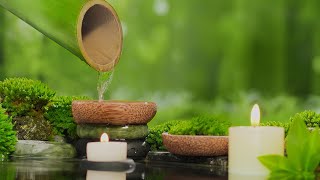 Música Relajante Alivia el Estrés, Ansiedad y Depresión, Sana la Mente, Sueño Profundo