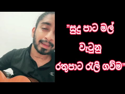 Sudu pata Mal wetunu || සුදු පාට මල් වැටුනු || Cover by || Amisha Minol