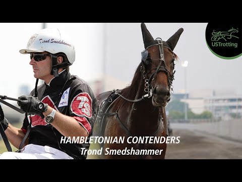 2025 Hambletonian Contenders (Trond Smedshammer) | UsTrotting 
