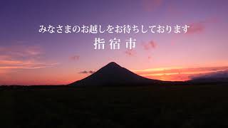 動画2