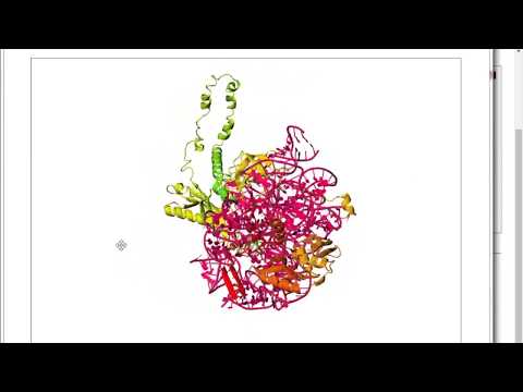 PDB Reader Tutorial 3 - Renaming and Missing Residues (5U4J, 5JY6)