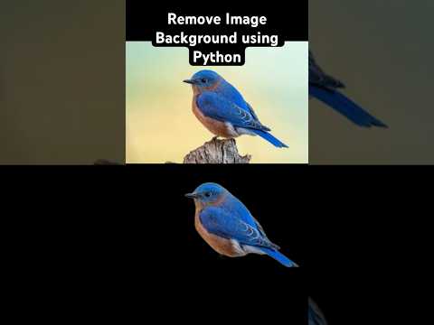 Remove Image Background in Seconds with Python | rembg Tutorial 🚀 #Python #Shorts #AI #shorts #ml