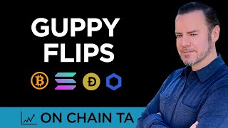 Bitcoin Guppy Flips - On Chain Technical Analysis