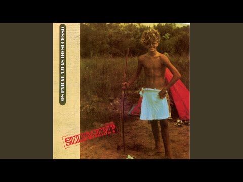 Teerã - Os Paralamas do Sucesso