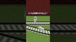 トロッコ問題9