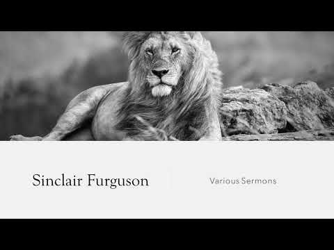 Sinclair Ferguson Genesis 1:24-2:25 Truth to live by 7 I’m only human