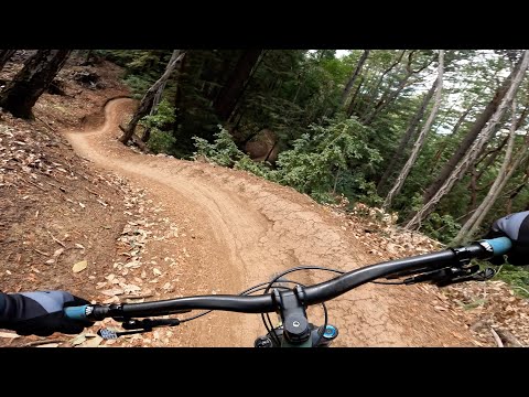 The Flow Trail is Back Open for Business | MTB Santa Cruz Soquel Demo Forest