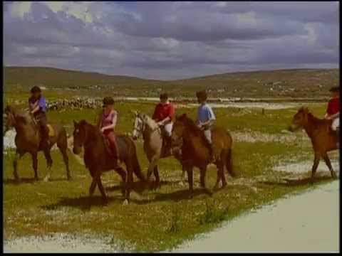 Reiturlaub & Reiterferien in Irland - Reiten auf der grünen Insel