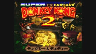 【二人実況】スーパードンキーコング2 part2
