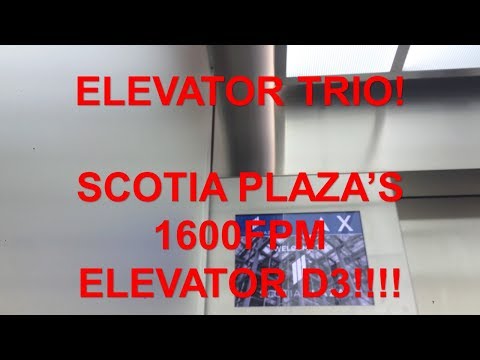 Elevator Trio! Scotia Plaza's ULTRA-FAST Elevator D3 Modded by Schindler!
