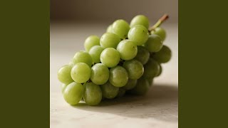 Download lagu Damai Kenangan Mengingat mp3 Download lagu Damai Kenangan Mengingat mp3