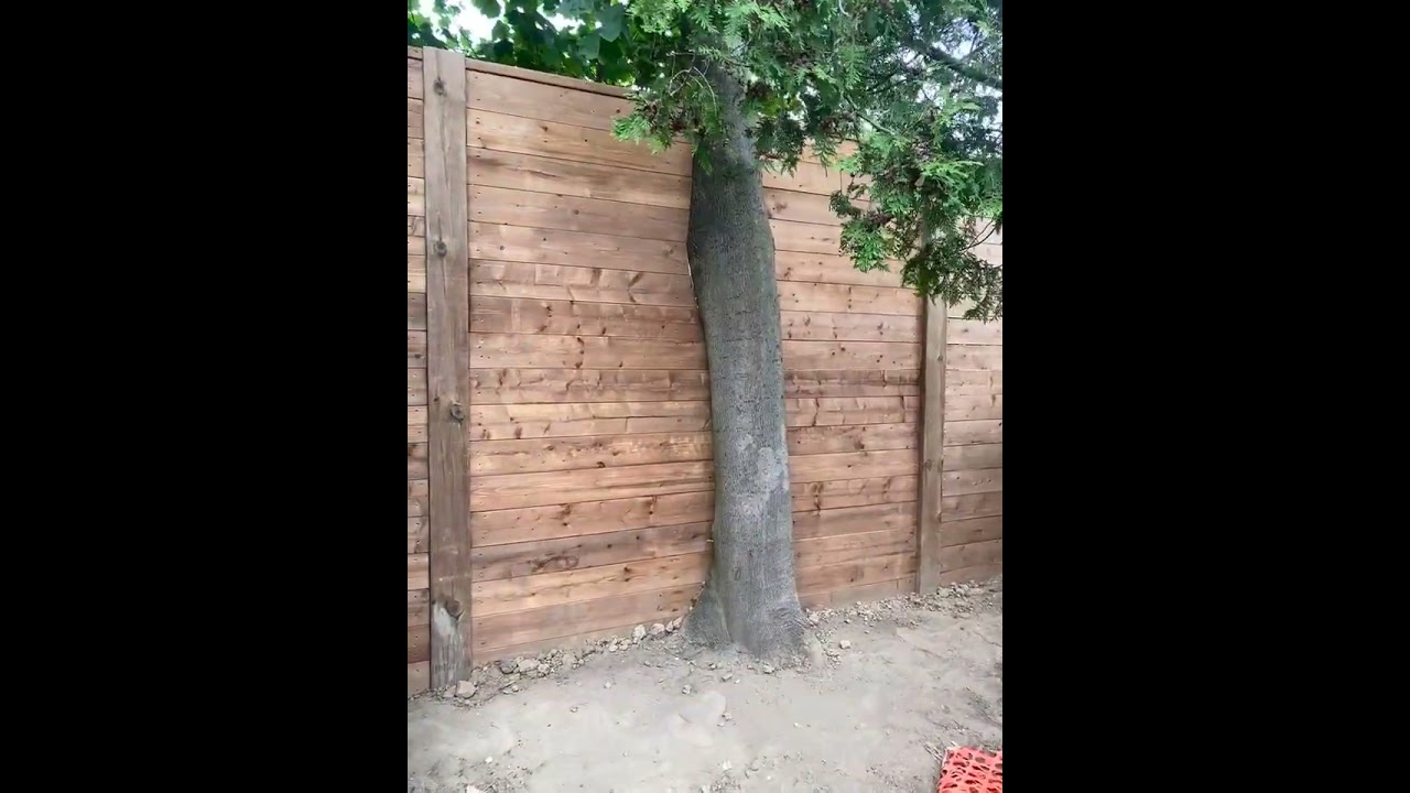 External video
