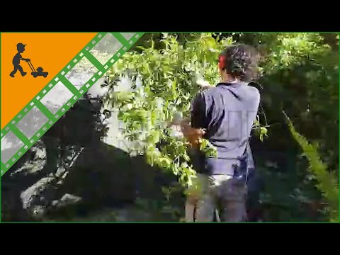 Blackstone GBD-1500 BS heavy-duty petrol garden shredder - B&S XR2100 engine - Customer's video