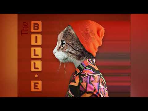 BILL.E! #photomanipulation #cat