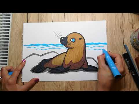 HOW TO DRAW a Sea Lion - Sea Creatures Series - Drawing ...