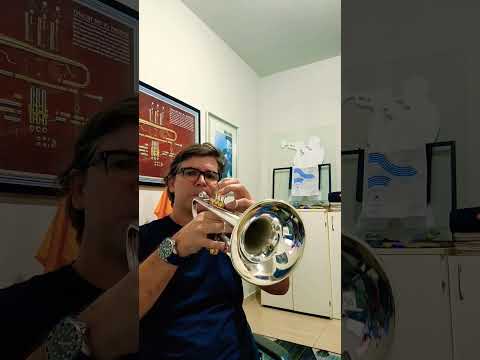 CCB Hino 260 (Sou servo inútil,  ó Deus piedoso)