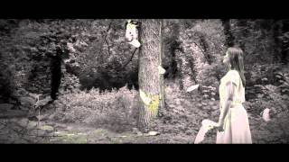 Schiller ft Jael - Tired...(Teddy bear HD version)