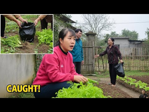 Huyền’s House Was Locked… Yet Someone Still Showed Up at the Worst Possible Time