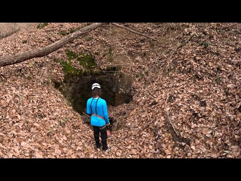 We Found A 150 Foot Deep Cave In The Forest