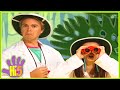 En Safari Con Hi 5 Cuentos Y Canciones Para Niños Hi 5 Latino