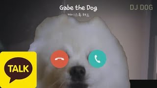 Download lagu 카카오톡 페이스톡 연결음 강아지 리믹스 KakaoTalk FaceTalk Ringtone (Gabe The Dog Remix) mp3
