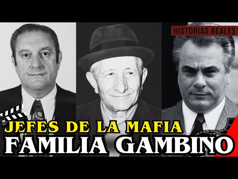 PODER, TRAICIÓN y SANGRE: Dentro de la Familia Criminal Gambino | Maratón de la Mafia