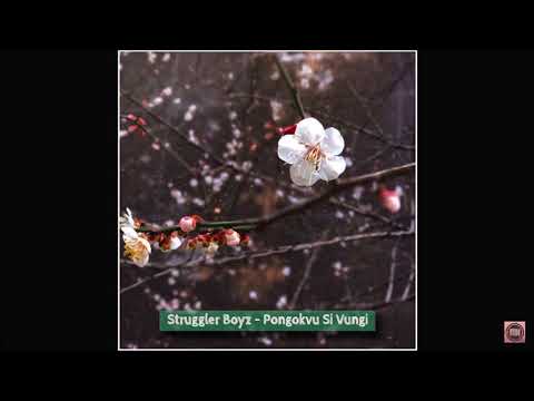 Struggler Boyz - Pongokvu Si Vungi (Audio)