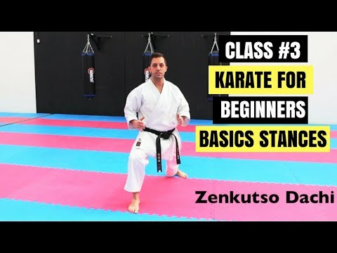 Martial Arts for Beginners – Lesson 3 / Basic Karate Cobra Kai - Strong Stances