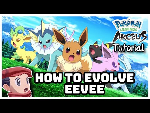 How to Evolve Eevee into ALL Eeveelutions - Pokémon Legends Arceus Tutorial