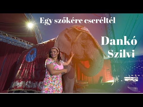 Dankó Szilvi - Egy szőkére cseréltél (hivatalos videoklip 2019)