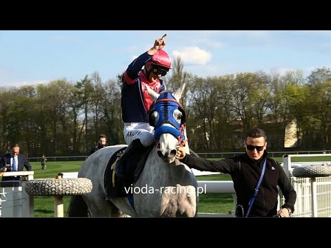 Gon. VI (N. Skowronka) - 22.04.2023 - Apollo del Sol (Al Mamun Monlau - Alloa del Sol)