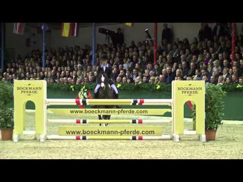 Magic Cornflakes by Miraculix - Nibelungenheld / Stallion Show Vechta 2014 - Böckmann Pferde