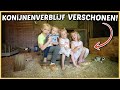 KONiJNENVERBLiJF VERSCHONEN WANT POEPEN OVERAL ?? | Bellinga Vlog #2518