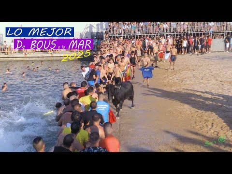 DENIA 18 TV los MEJORES MOMENTOS BOUS a la Mar