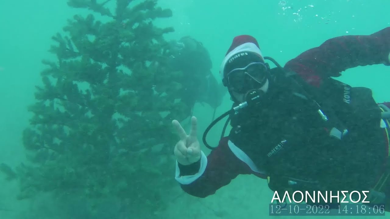 Auf der Insel Alonissos schmückten sie einen Unterwasser-Weihnachtsbaum (Video)