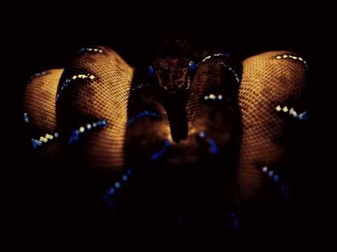 Liquid Bass [Netsky vs Danny Byrd]