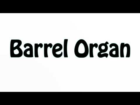 Learn How To Pronounce Barrel Organ