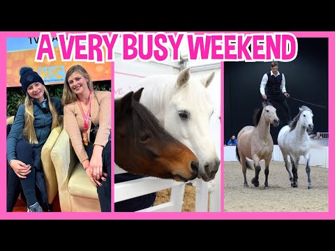 A VERY BUSY WEEKEND AT YOUR HORSE LIVE!