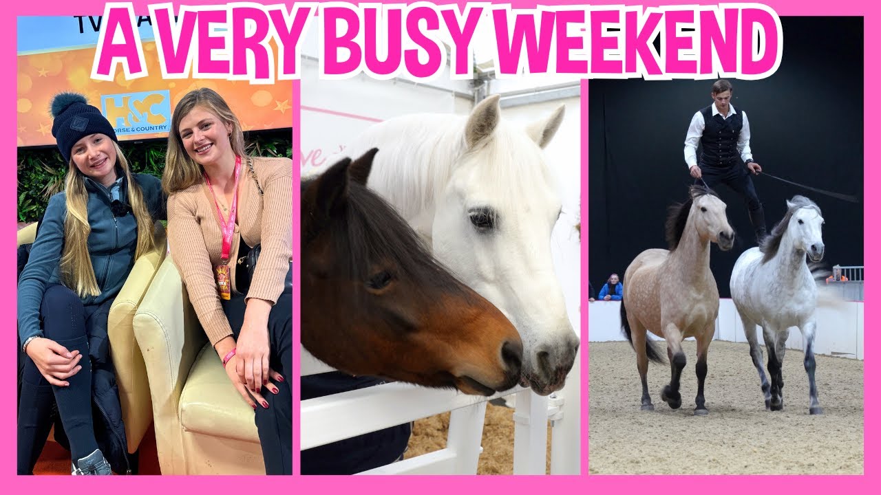 A VERY BUSY WEEKEND AT YOUR HORSE LIVE!