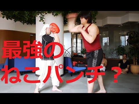 【意外な威力！最強のねこパンチ！？】ハヤテ流格闘技