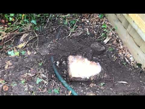 Polar Lawn Care video.
