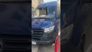 What’s this guy doing here?🤨 #dog ##shorts