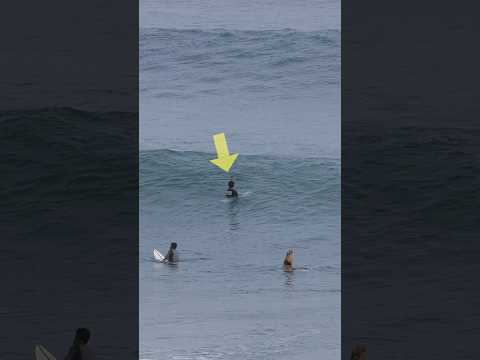 Paddle Further Out Than Everyone Else #surfersofbali #surfing #surfers