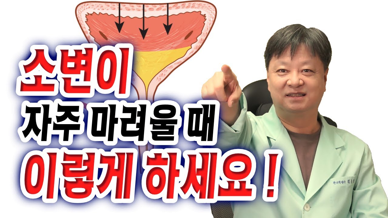 소변이 자주 마려울 때 이렇게 하세요! 꼭~ [한의학박사 김순렬] Do this when you need to urinate frequently.
