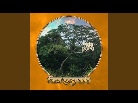 Aeroplanes & Satellites