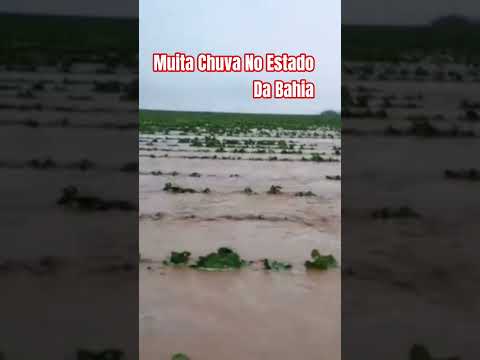 Ribeira Do Amparo Debaixo D'água #chuvas