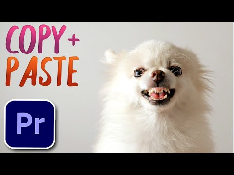 How to Edit Video for Beginners Tutorial Premiere Pro 2020